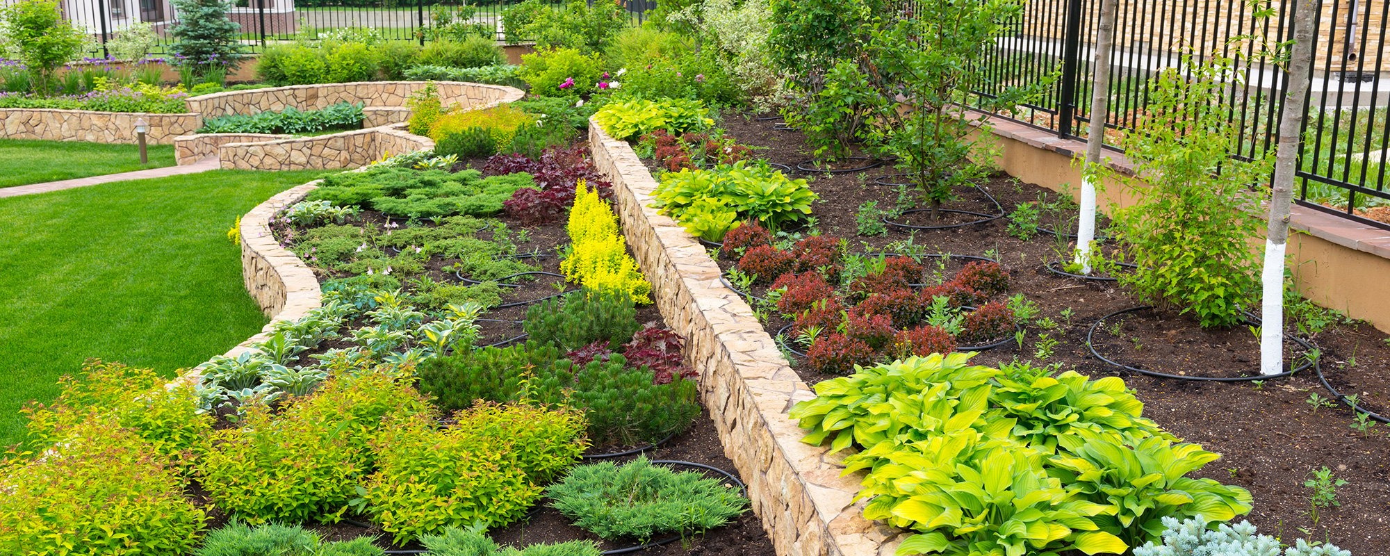 banner-hills-compost