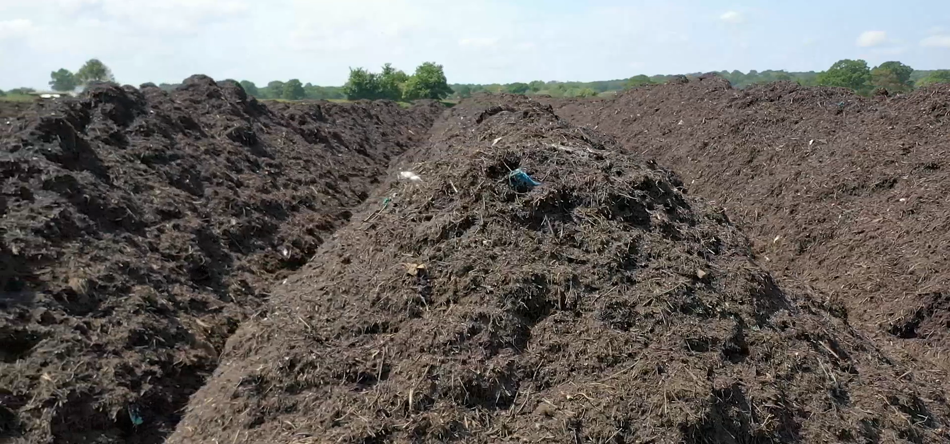 Compost Maturation
