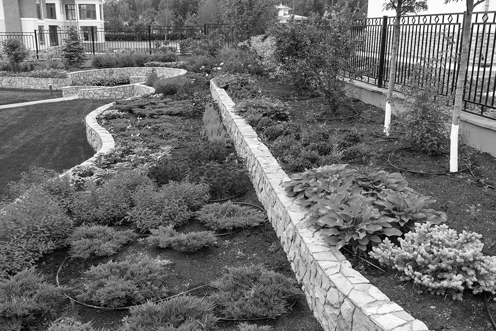 compost-in-garden